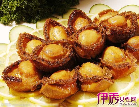 鲍鱼的营养价值