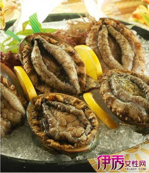 鲍鱼的营养价值