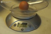 ԭζ�ݷ絰�������<!-- ͼ��2 -->