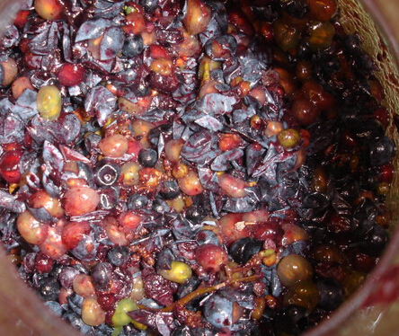 ���������Ѿ�