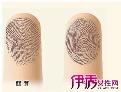 指纹有几个斗是富贵命