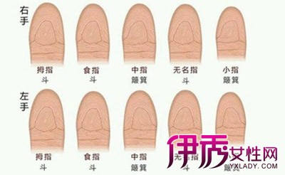 ָ���м������Ǹ�����