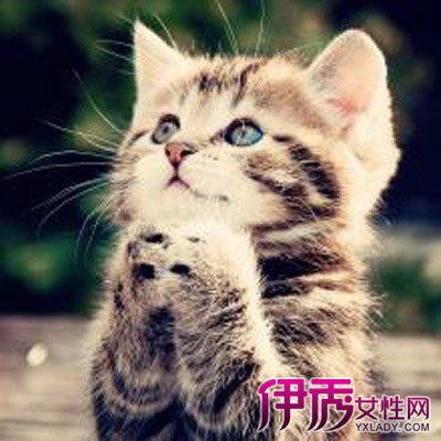 �����ⶫ��������һ����