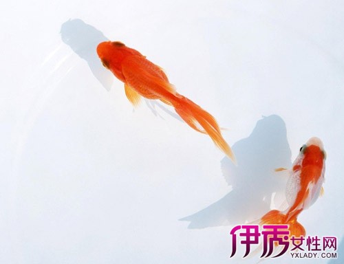 �����ⶫ��������һ����